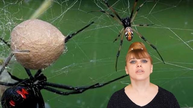 А ты знаешь? Кто съедает своего мужчину? смотреть онлайн