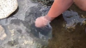 Ловим крабов в КРЫМУ!