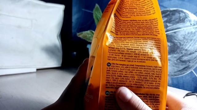 Обзор корма Little one смотреть онлайн