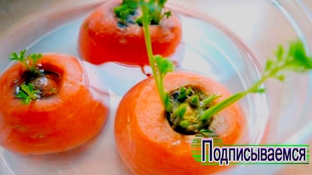 ➤ 8 овощей, которые ты сможешь проращивать снова и снова! ➤ смотреть онлайн