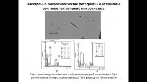 Особенности микростроения включений примесных фаз серого чугуна и влияние  на графитообразование