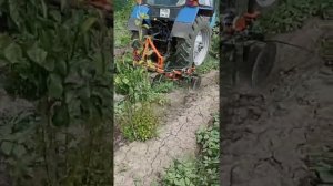 Приствольная фреза. Фреза садовая. Тестируем оборудование перед продажей.