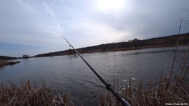 ЩУКА ПОСЛЕ НЕРЕСТА. Ловля щуки весной в апреле на спиннинг Ч.1