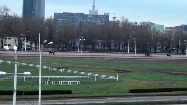 Московский ипподром. Бега. 19.11.17. Заезд 5(687) смотреть онлайн