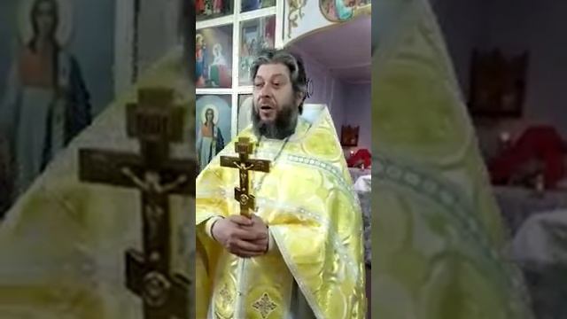 Проповедь о Серафима с Литургии Рождества Христова. Марьяновка. смотреть онлайн