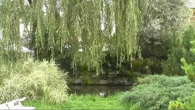 Ландшафтный дизайн для интерьера квартиры ландшафта сада дачи дома смотреть онлайн