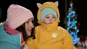 Коттеджный поселок Аист в Новый 2023 год