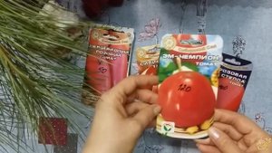 Обзор. Сорта и гибриды томатов на 2019 г. Любимые сорта и новинки