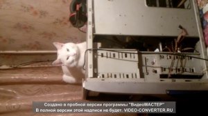 ТИШКА и КОМП