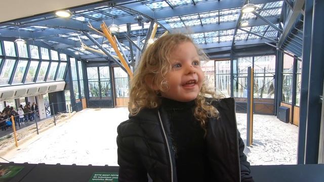 Austria With SIX KIDS!!! | Top 10 Things To Do In Austria With Kids | Visit Austria смотреть онлайн