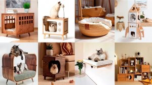 Cat furniture ideas   custom design furniture f