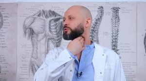 Берегите сосуды не состаритесь НИКОГДА! Эти привычки убивают здоровье наших сосудов и сердца.