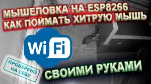 0277 Гуманная мышеловка c wi-fi или как я ловил хитрую мышь