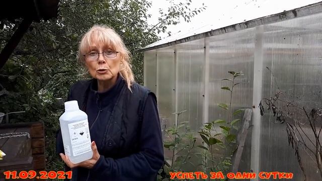 12.09.2021 Чистка дезинфекция колодца Дно колодца Корни Фильтры Залили перекись Откуда это? А дальш