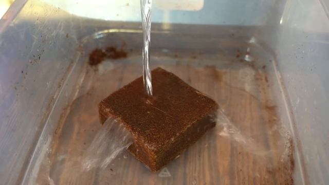 Выращивание салата и другой зелени зимой в домашних условиях смотреть онлайн