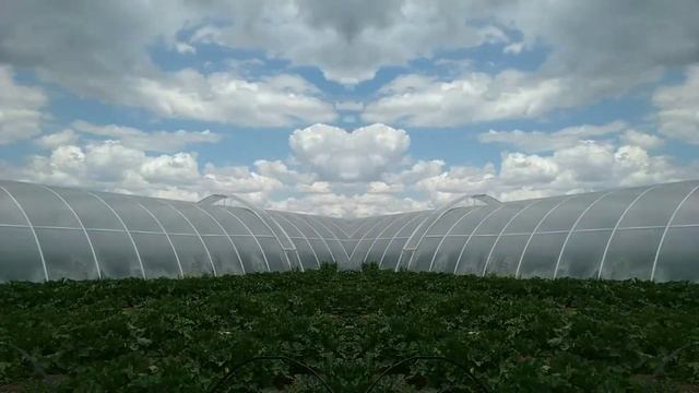 НЕБО (просто красивое видео) смотреть онлайн