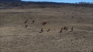 конец золотой орды как разрушалось татаро монгольское государство Чингисхана