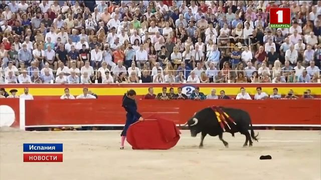 Коррида возвращается на Майорку после 2-летнего перерыва смотреть онлайн