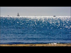 Блики моря и Искра.