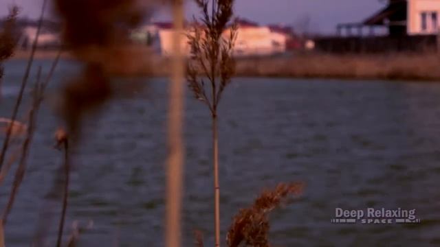 Расслабляющая музыка с красивой природой  Для вашего отдыха души и тела