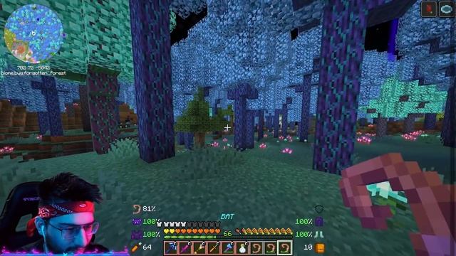 ФАРМИЛКА ГОЛОВ ВИЗЕР-СКЕЛЕТОВ! МАЙНКРАФТ NEGODAY SMP SE2 RELOADED #31 (Minecraft)