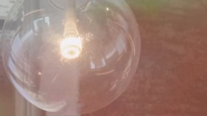 ГОРОДСКИЕ ЛЕГЕНДЫ, ОКАЗАВШИЕСЯ ПРАВДОЙ