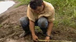 National geographic Гигантский крокодил 2001