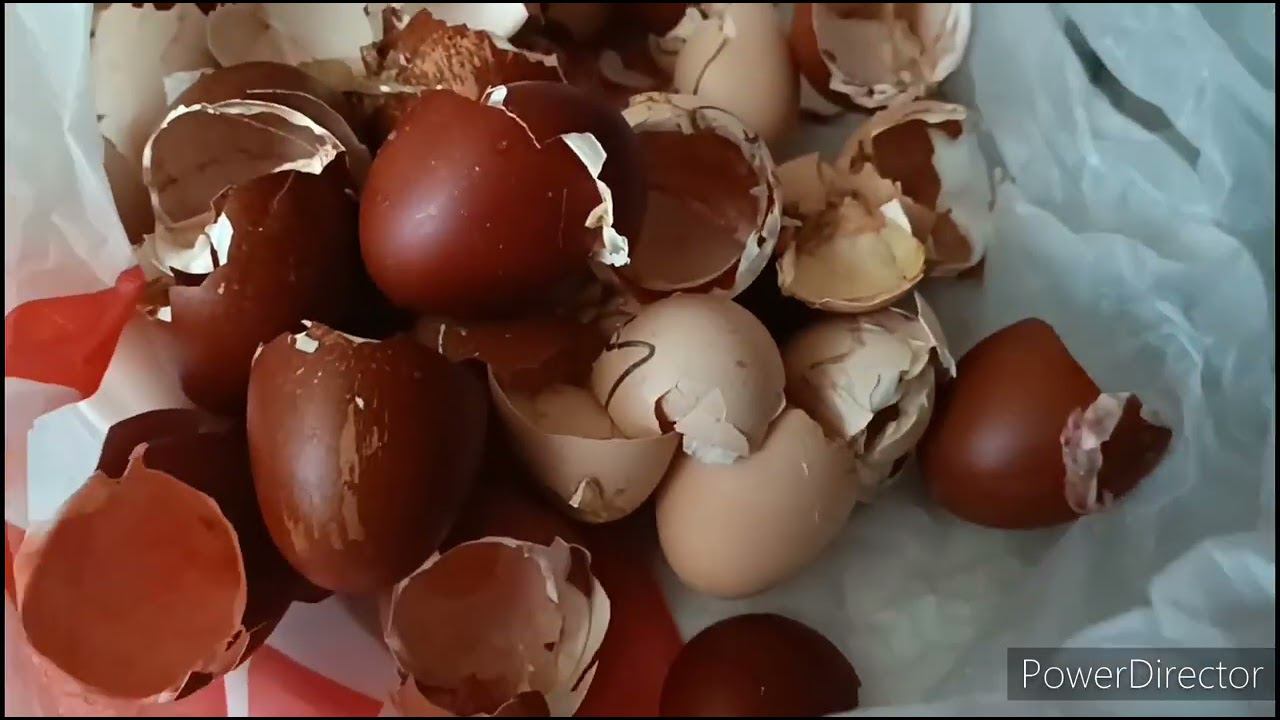 19 мая 2023 г. смотреть онлайн