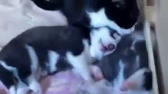 Чужих детей не бывает!!!))) смотреть онлайн