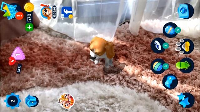 Tamadog-ВИРТУАЛЬНЫЙ ПИТОМЕЦ /ЩЕНОК ДРУЖОК#Тамадог смотреть онлайн