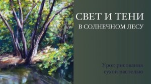 Тени в солнечном лесу. Урок пастельной живописи