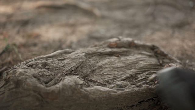 inReach Messenger vs inReach Mini 2 – And the winner is? смотреть онлайн