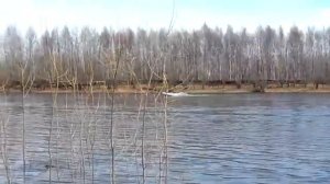 Лодка баджер 300 и мотор ветерок 8м первый выезд город Лангепас