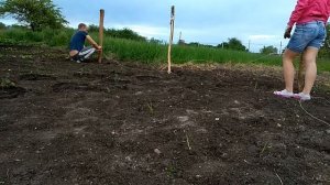 Сажаем помидоры/сделали опору для помидор.