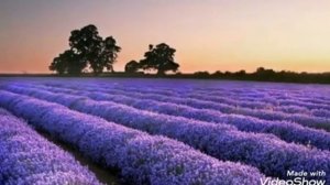 Всему свои положены пределы [христианская песня]