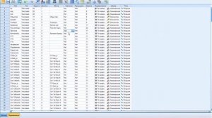 Ввод данных в SPSS. Начало работы.wmv
