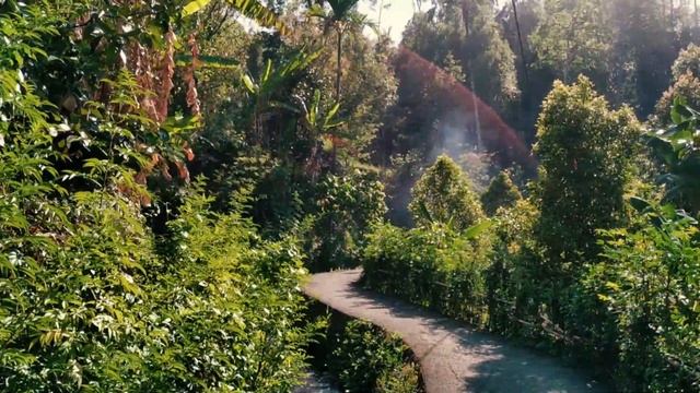 Двухдневный тур по северу Бали: водопады Алинг Алинг, Секумпул, храмы Братан, Бесаких (мини-версия) смотреть онлайн