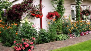 ?Сделаем свой сад красивым Отличные идеи для вдохновения / Garden design ideas / A - Video