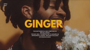 Rema - Ginger ft. Victony, Wizkid (Afroswing Type Beat 2024) | Afrobeat Type Beat 2024