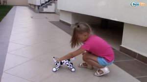 Собака Зумер - Интерактивная игрушка. Ярослава играет с роботом собакой Zoomer. Видео для детей