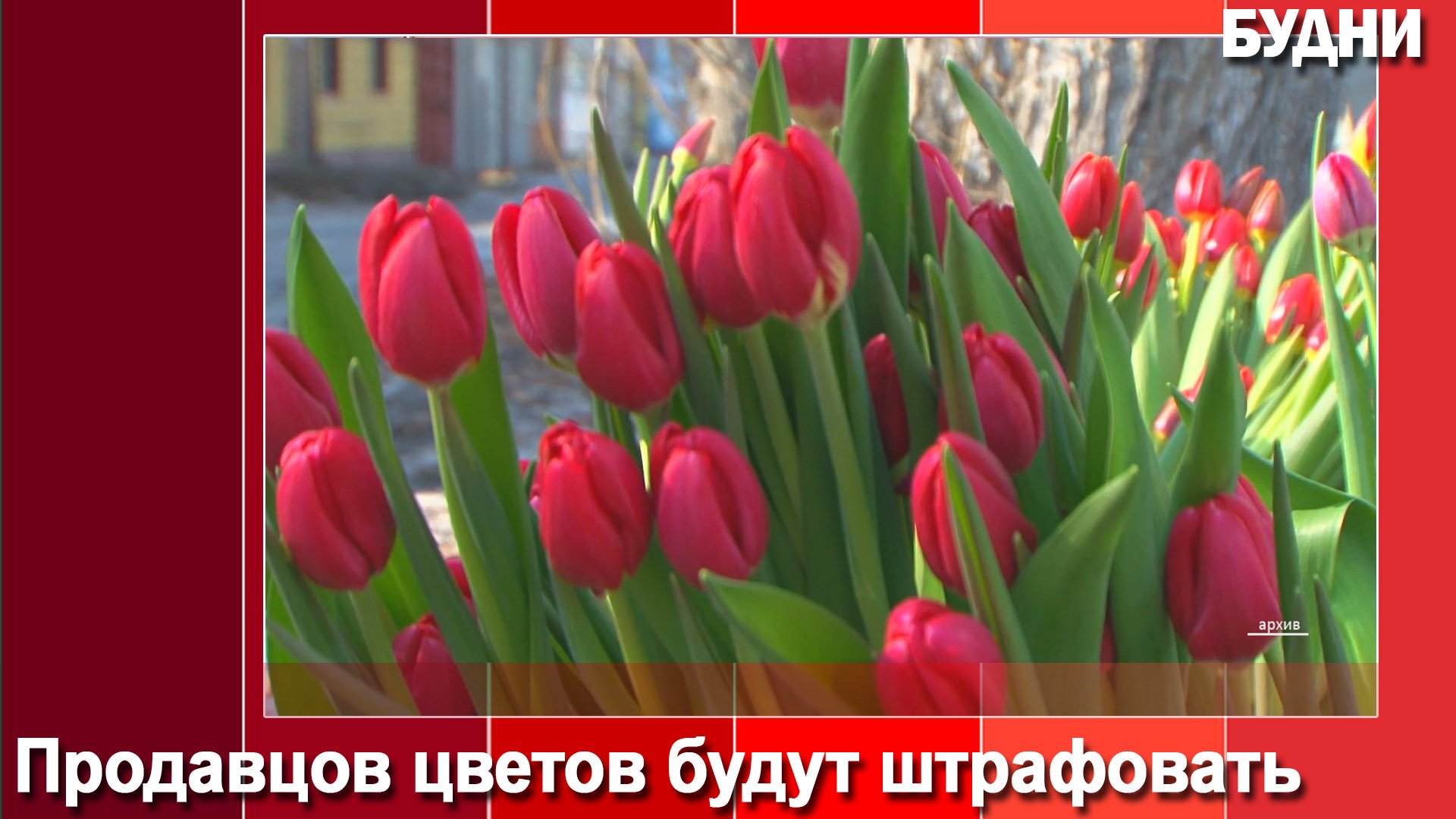 За незаконную торговлю цветами накажут