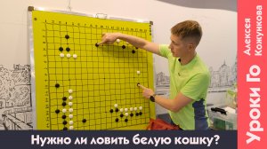 Нужно ли ловить белую кошку?