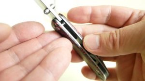 Petrified fish PFE08 Grow, k110 Satin, Gmascus