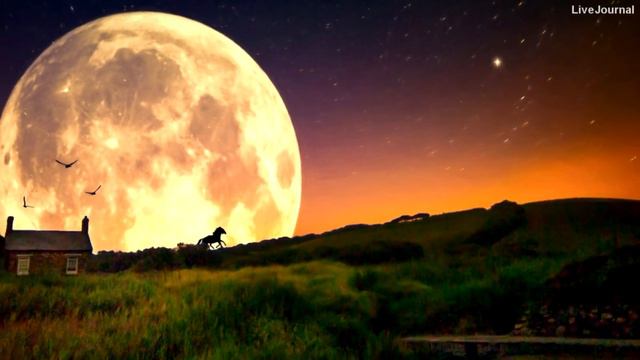 ОСУЩЕСТВИТЬ То, ради чего Вы пришли на Землю - Арктурианский Совет смотреть онлайн