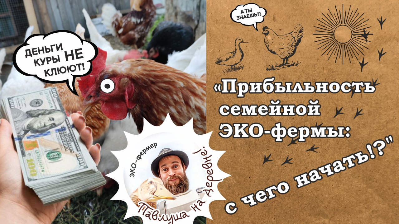 Прибыльность семейная эко-ферма с чего начать?