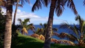 ▫️Мухаммад Аюб  ▫️Красивое чтение Корана