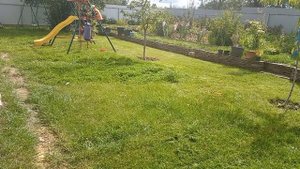 как лучше сделать окантовку, прежде чем косить?