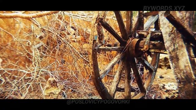 КУДА КОНЬ С КОПЫТОМ, ТУДА И РАК С КЛЕШНЁЙ: смысл и значение смотреть онлайн