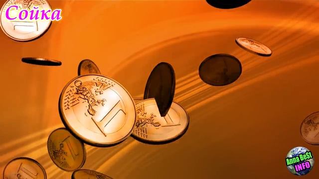 Вот к чему птица садится на окно! К чему птица бьется в окно?! Приметы и Суеверия! смотреть онлайн