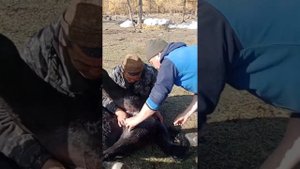 восточные Саяны республика Бурятия горы Ока Саянская буряты отдых туризм!!!